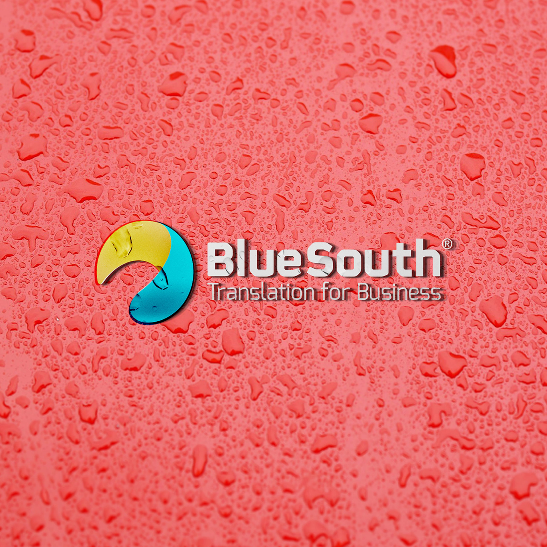 Affordable Christchurch & Local Rolleston Corporate Business Logo Designer XDC.NZ specialises in all branding for Signage, Signwriting & Installations, Websites & SEO (Search Engine Optimisation) and boosting your Google Search Engine Page 1 Rankings higher with creative website marketing