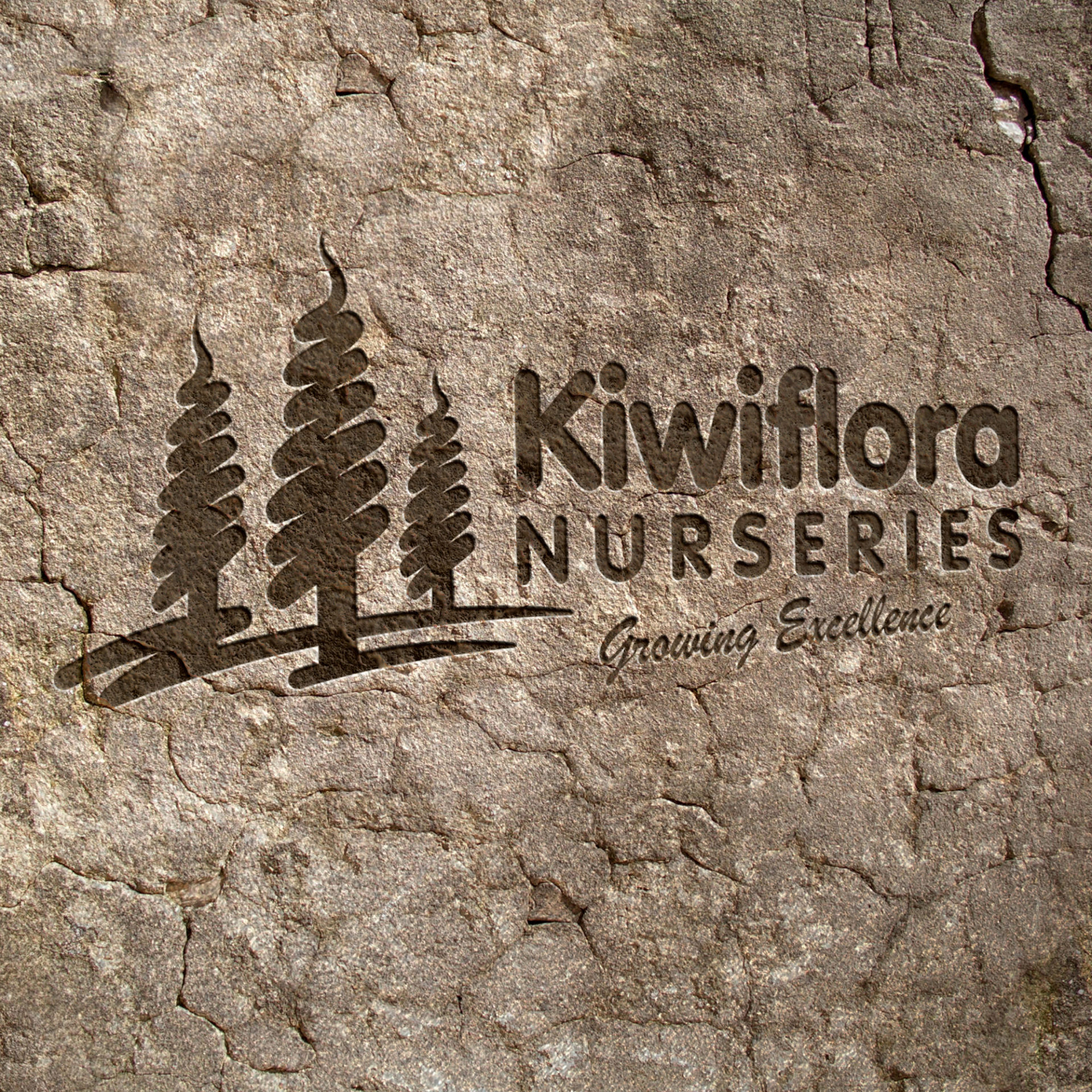 Local Templeton Plant Nursery Logo Designer XDC.NZ specialises in Branding, Graphic Design for Business Cards, Signage, Websites & SEO & boosting your Google Search Engine Page 1 Rankings higher with creative website marketing