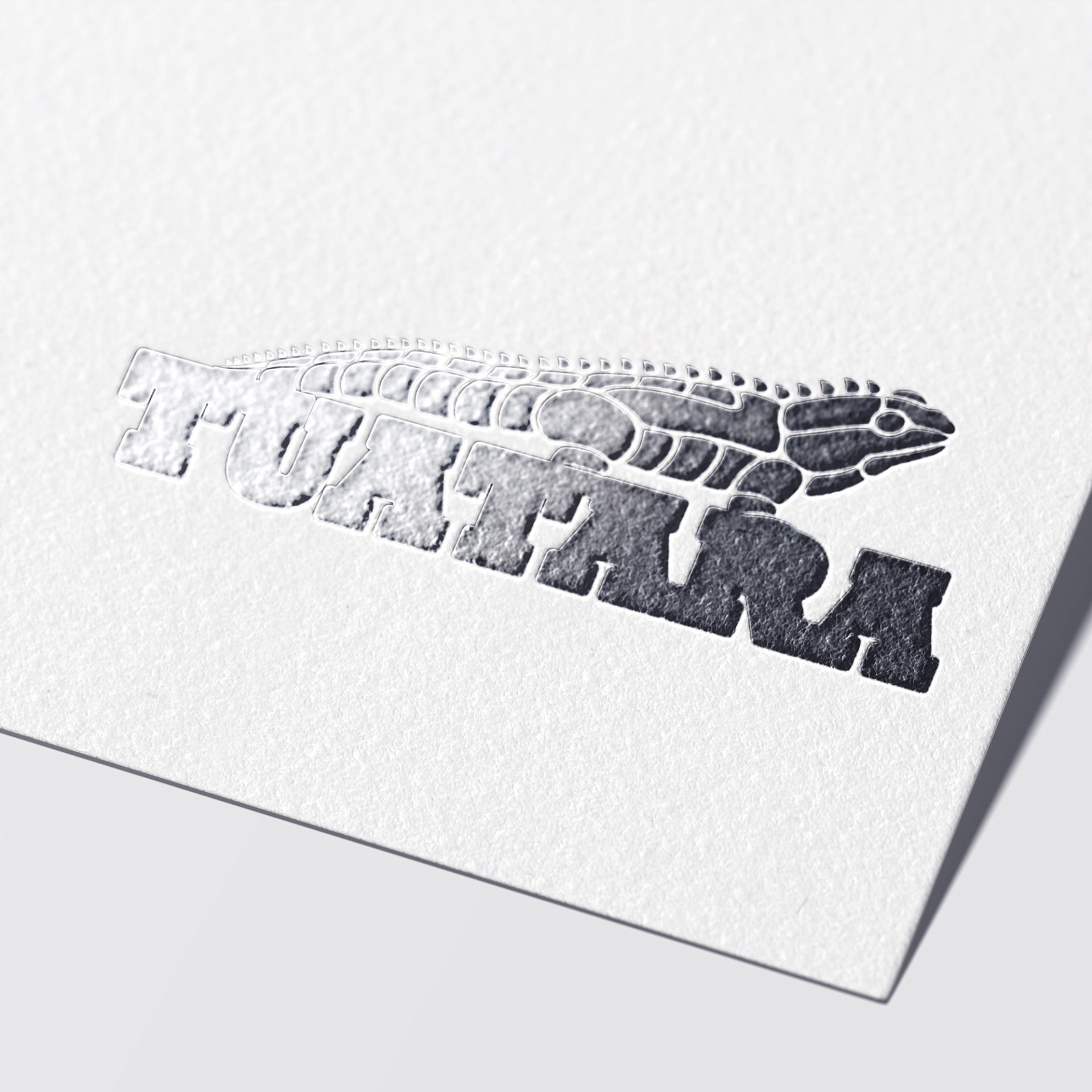 Local West Melton Rolleston Canterbury Farm Machinery Business Logo Designer & Logo Maker XDC.NZ specialises in Branding, Graphic Design for Business Cards, Signage, Websites & SEO & boosting your Google Search Engine Page 1 Rankings higher with creative website marketing