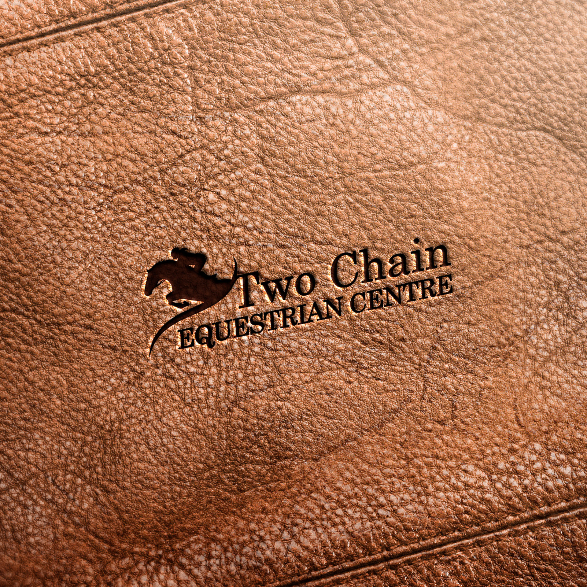 Local West Melton Selwyn Equestrian Horse Trainer Business Logo Designer & Logo Maker XDC.NZ specialises in Branding, Graphic Design for Business Cards, Signage, Websites & SEO & boosting your Google Search Engine Page 1 Rankings higher with creative website marketing